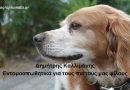Εντομοαπωθητικά για τους πιστούς μας φίλους Εντομοαπωθητικά