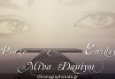 Ρίσκο & Επιλογή Ρίσκο & Επιλογή