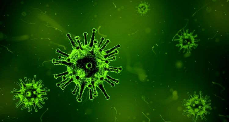 Ιός ο εστεμμένος: Corona virus ή κοροναϊός της Wuhan ή Covid-19!
